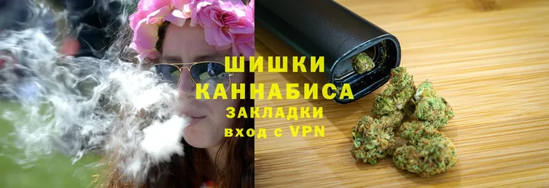 Конопля сатива  Ковдор 